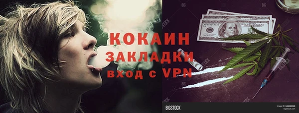 PSILOCYBIN Аркадак